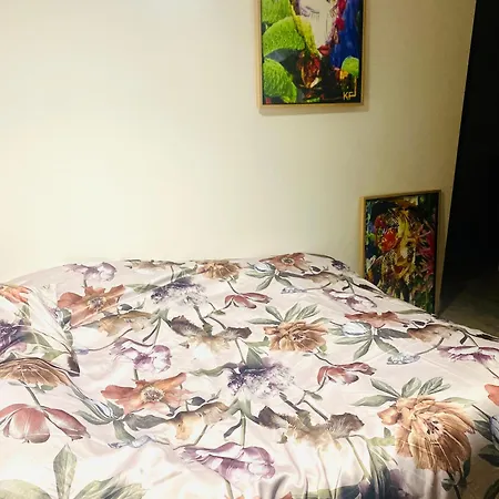 Πανσιόν Du Mayenne